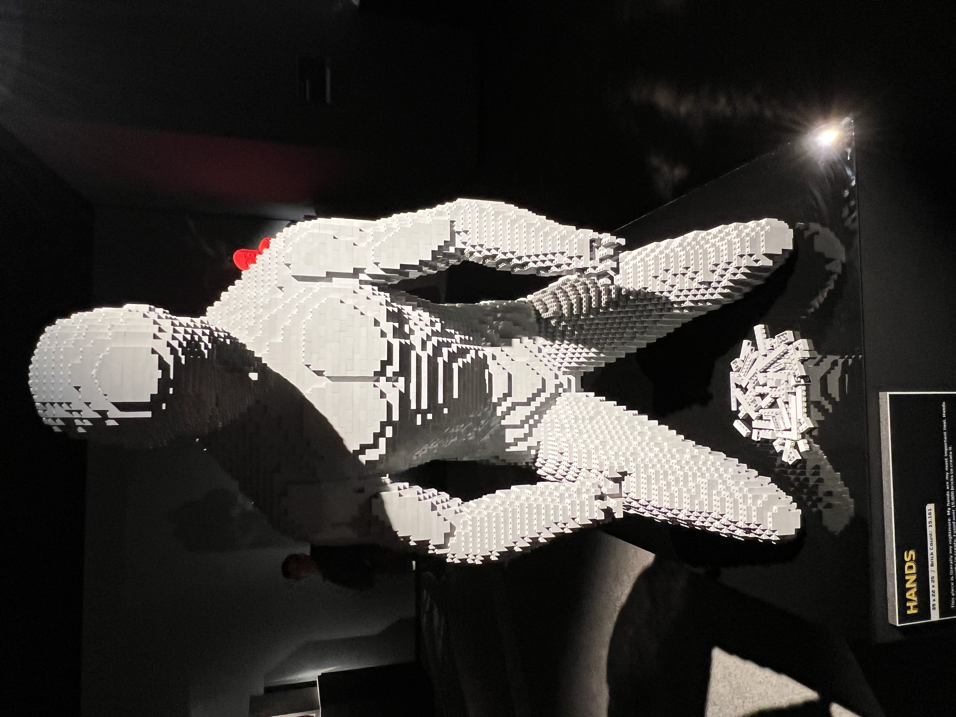 ./2023/07 - Art of the Brick/IMG_9534.JPG